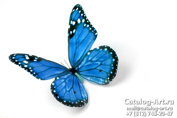  Butterflies 91